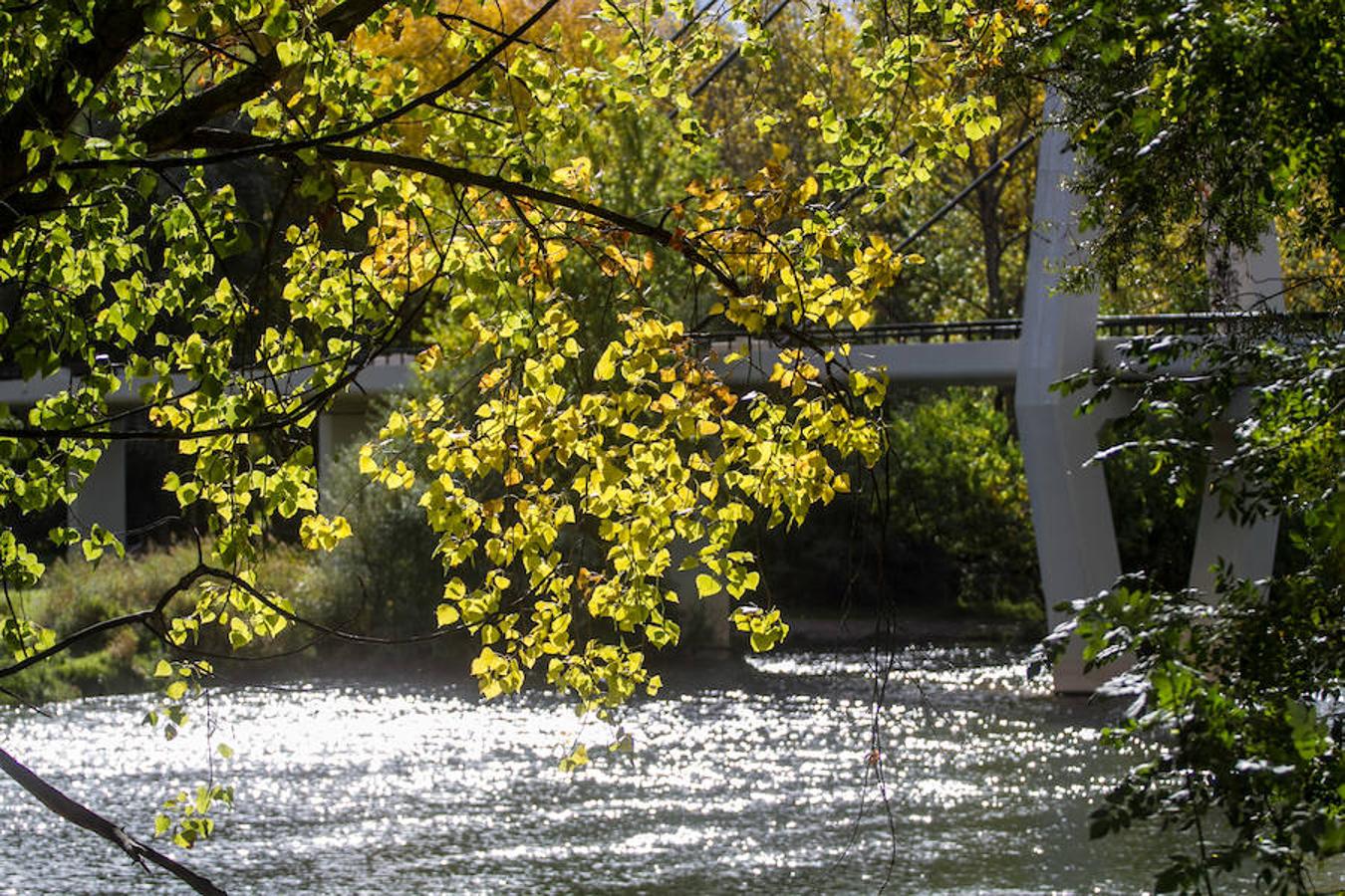 El otoño en Logroño