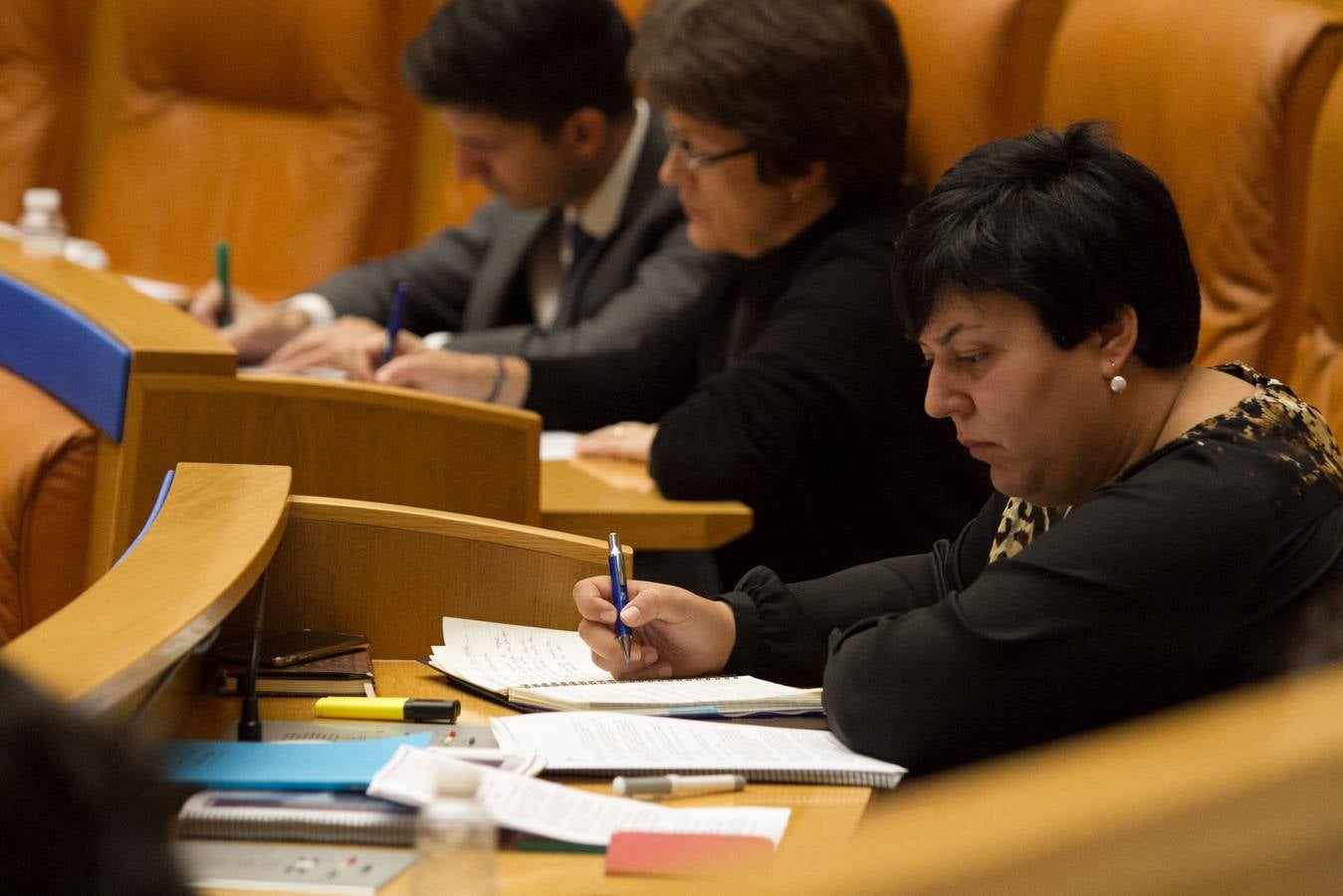 Un día de conversaciones y gestos en el Parlamento riojano