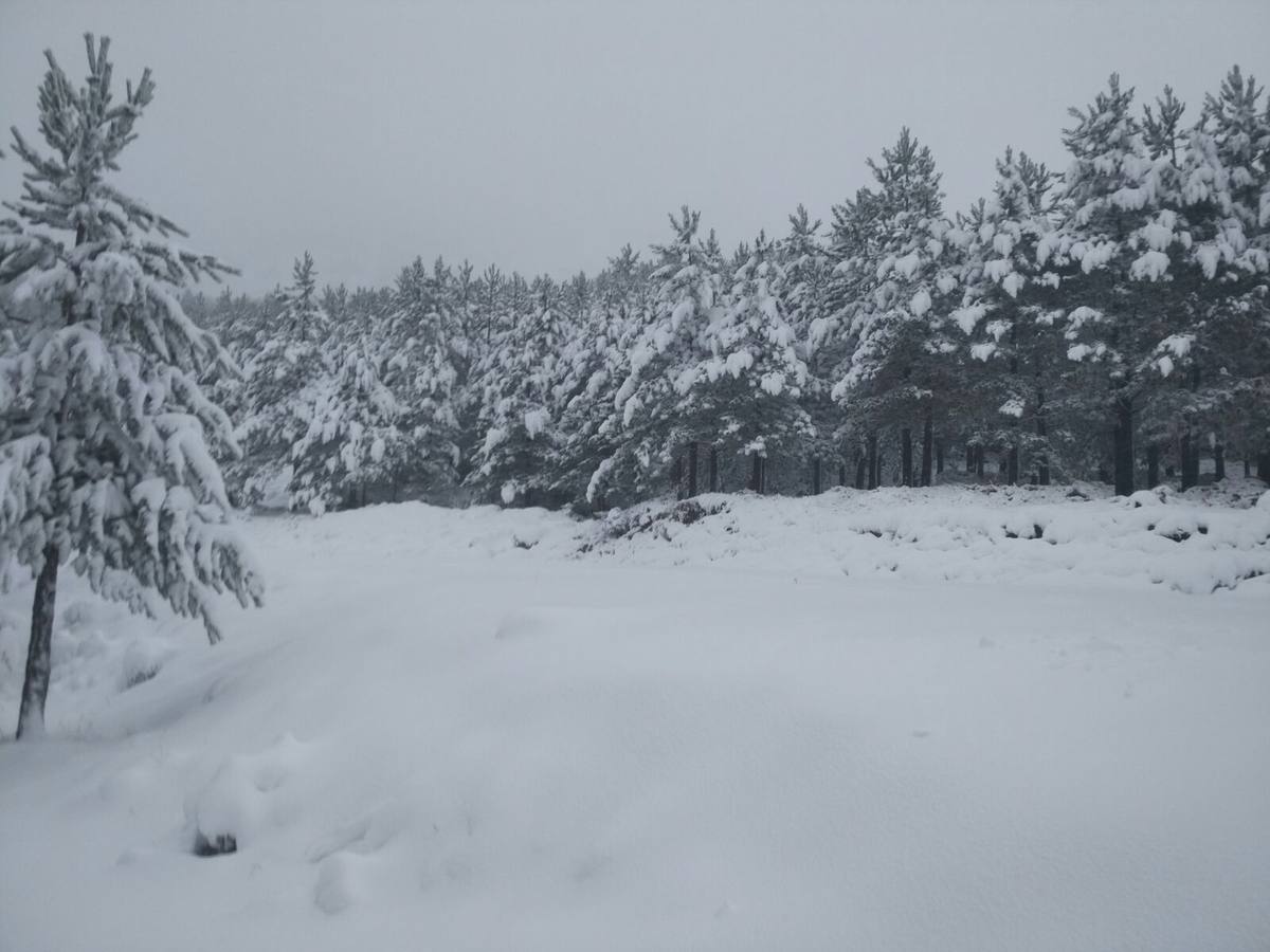 La nieve cubre La Rioja