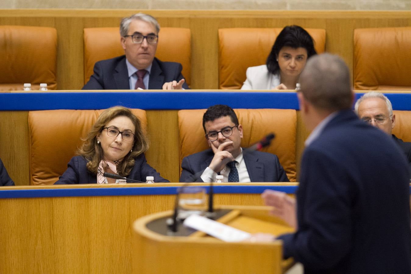 Los gestos del pleno del Parlamento riojano