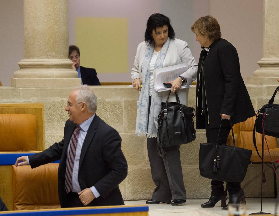 Los gestos del pleno del Parlamento riojano