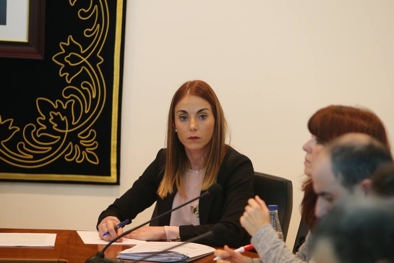 Tensión, gestos y más de una botella de agua en el pleno de Villamediana