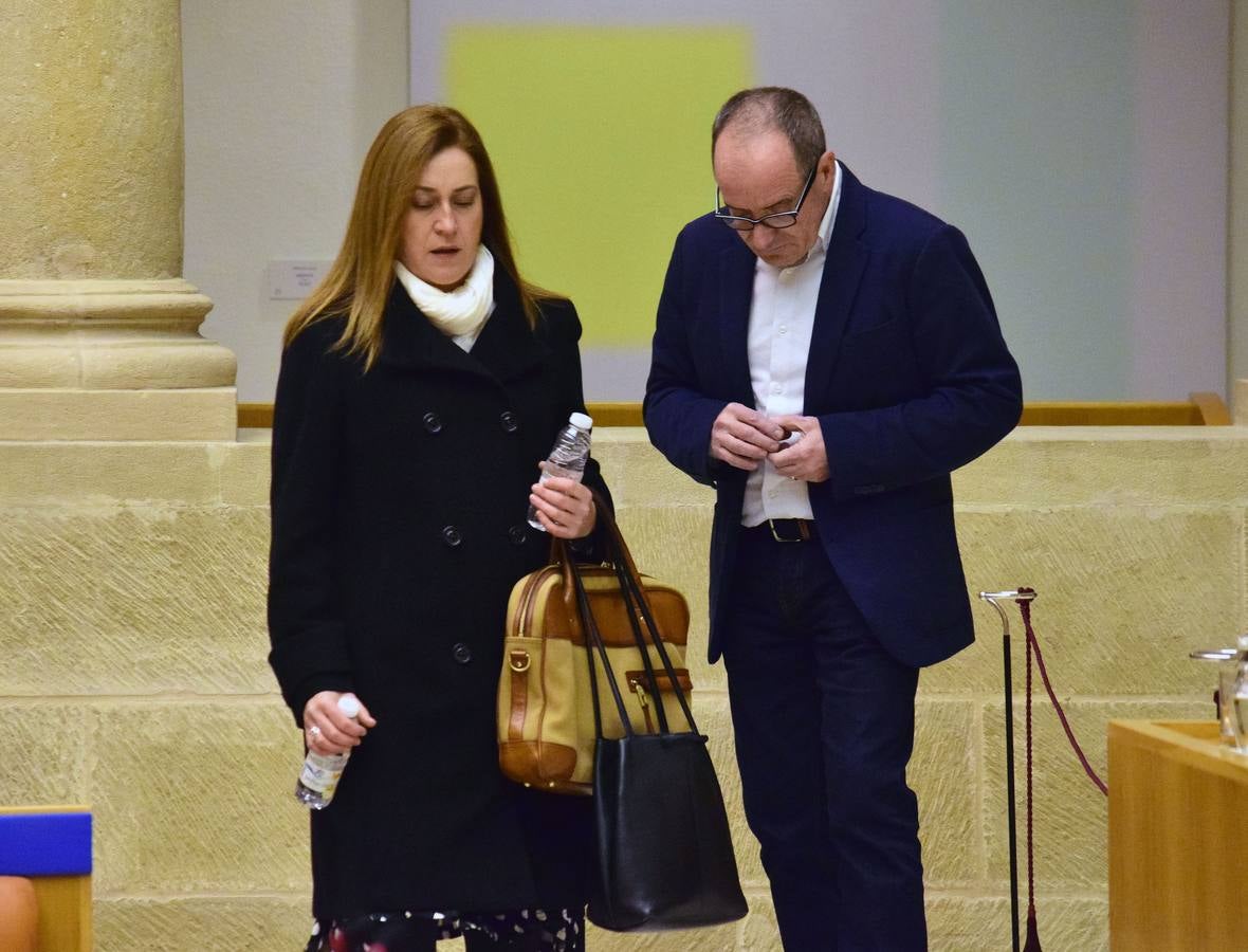 Una mañana en el Pleno del Parlamento riojano