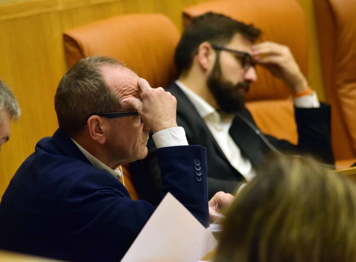 Una mañana en el Pleno del Parlamento riojano