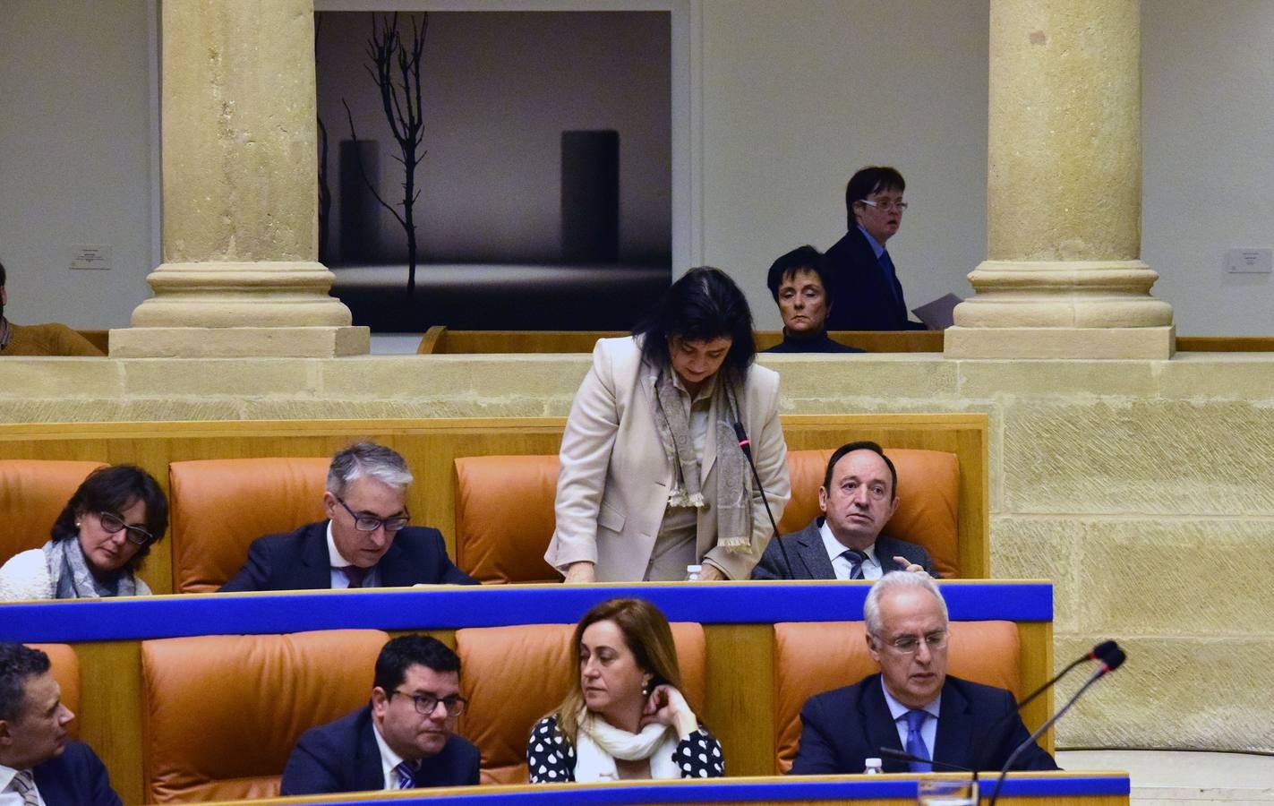 Una mañana en el Pleno del Parlamento riojano