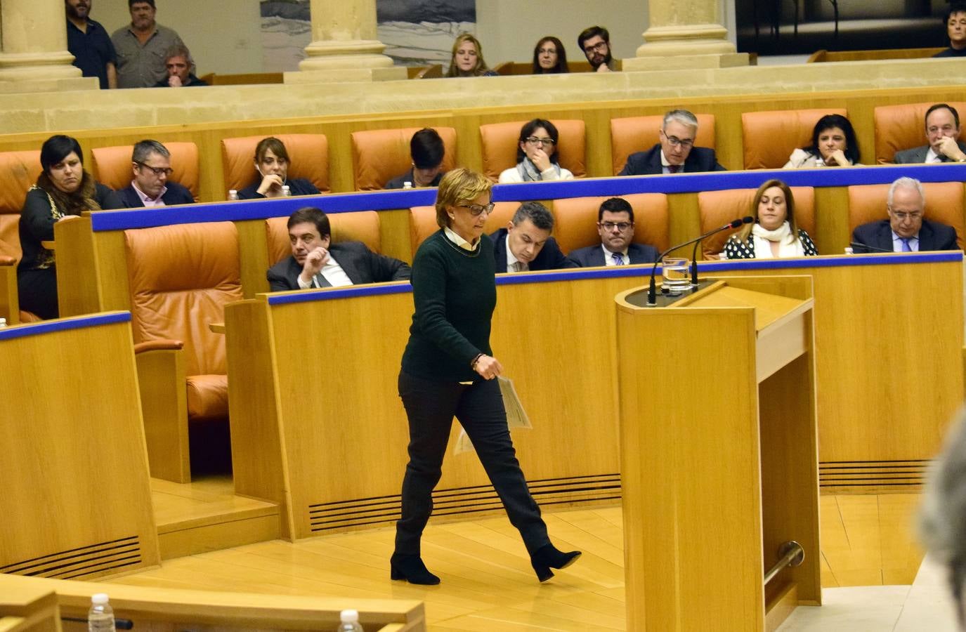 Una mañana en el Pleno del Parlamento riojano