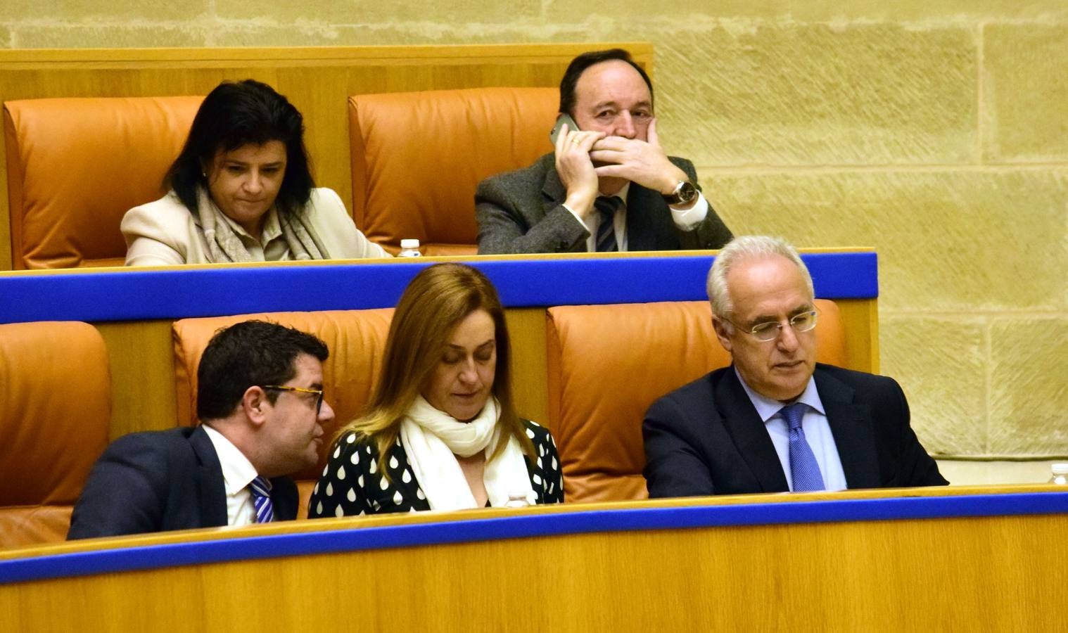 Una mañana en el Pleno del Parlamento riojano