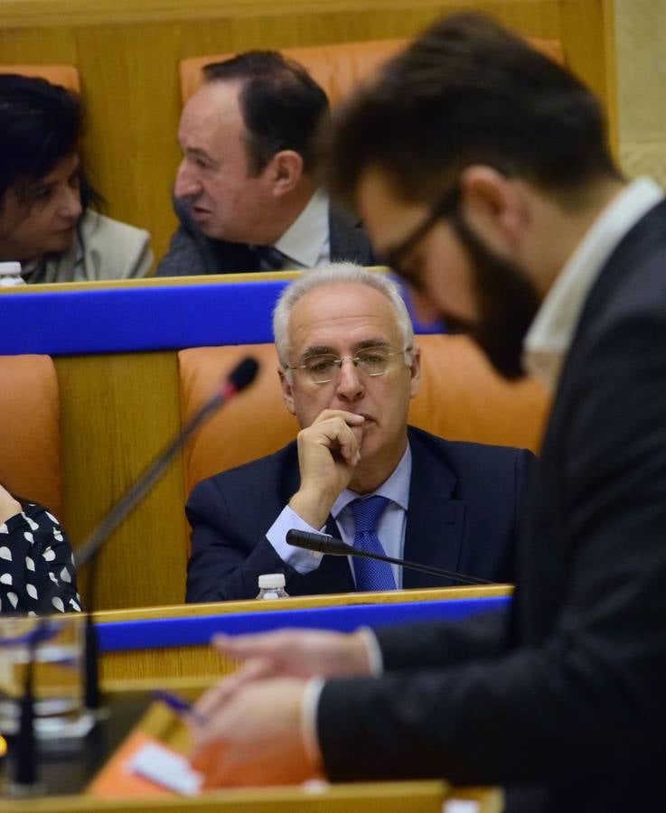 Una mañana en el Pleno del Parlamento riojano