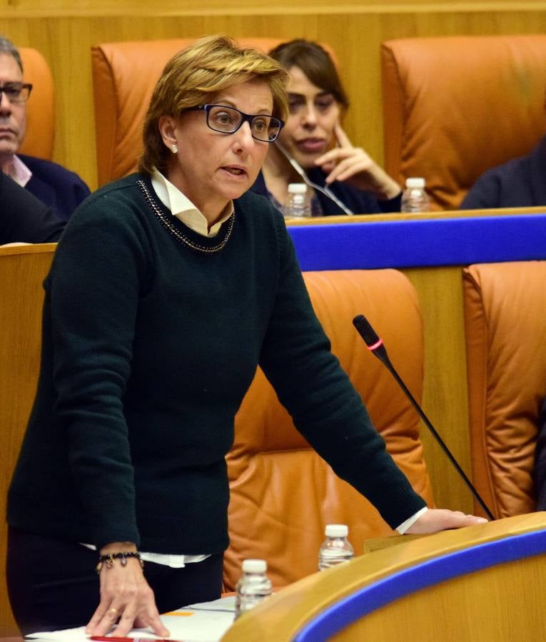 Una mañana en el Pleno del Parlamento riojano