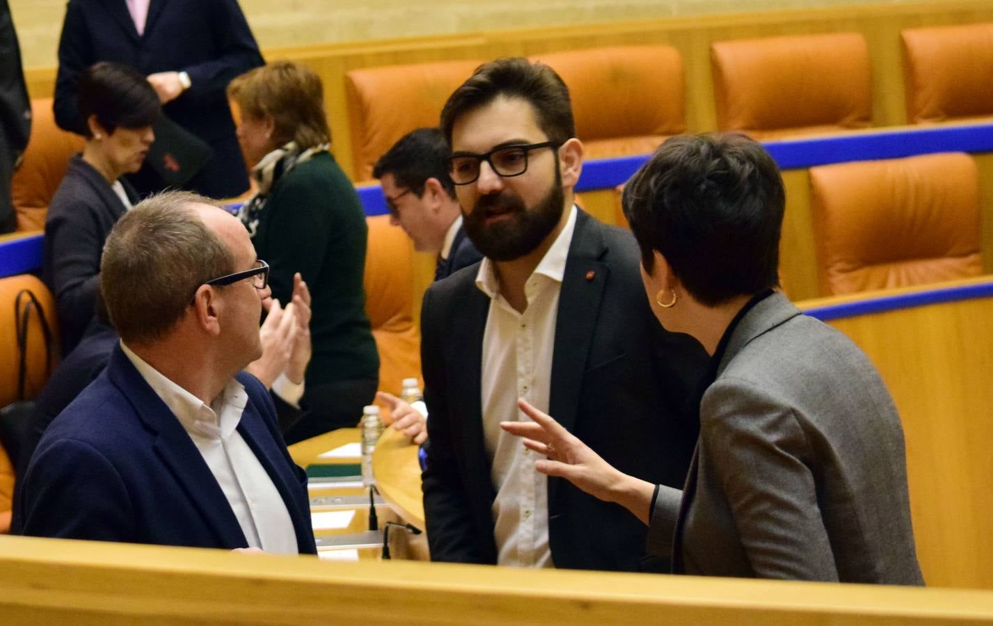 Una mañana en el Pleno del Parlamento riojano