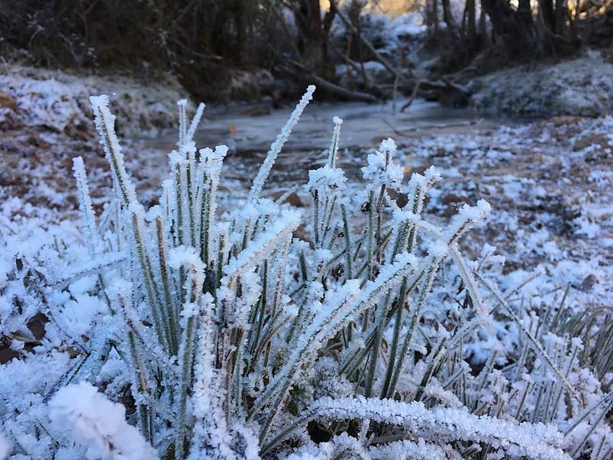 Canales de la Sierra. 