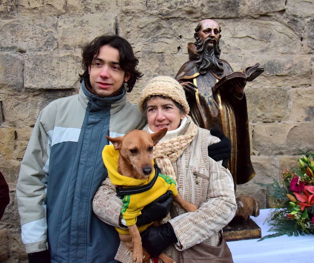 Festividad de San Antón en la Plaza de San Bartolomé de Logroño