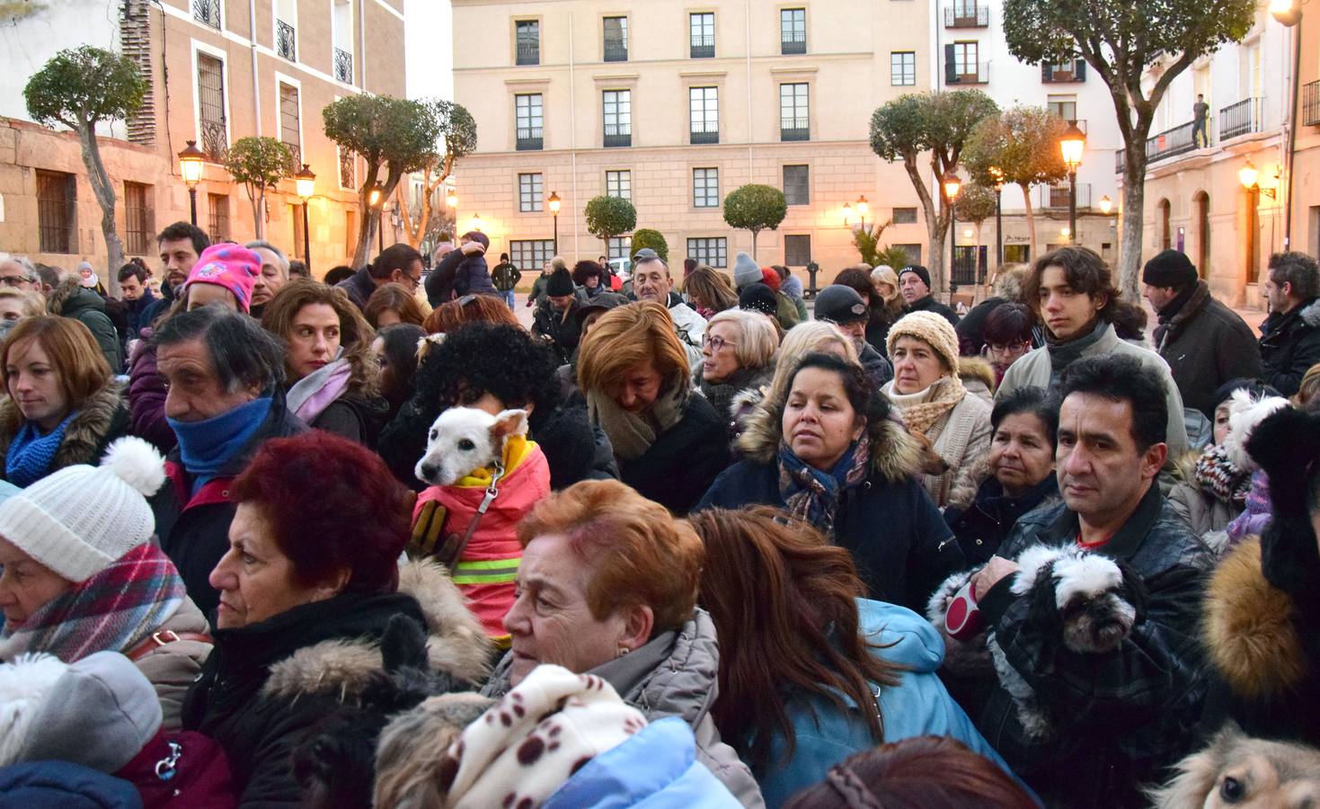 Festividad de San Antón en la Plaza de San Bartolomé de Logroño