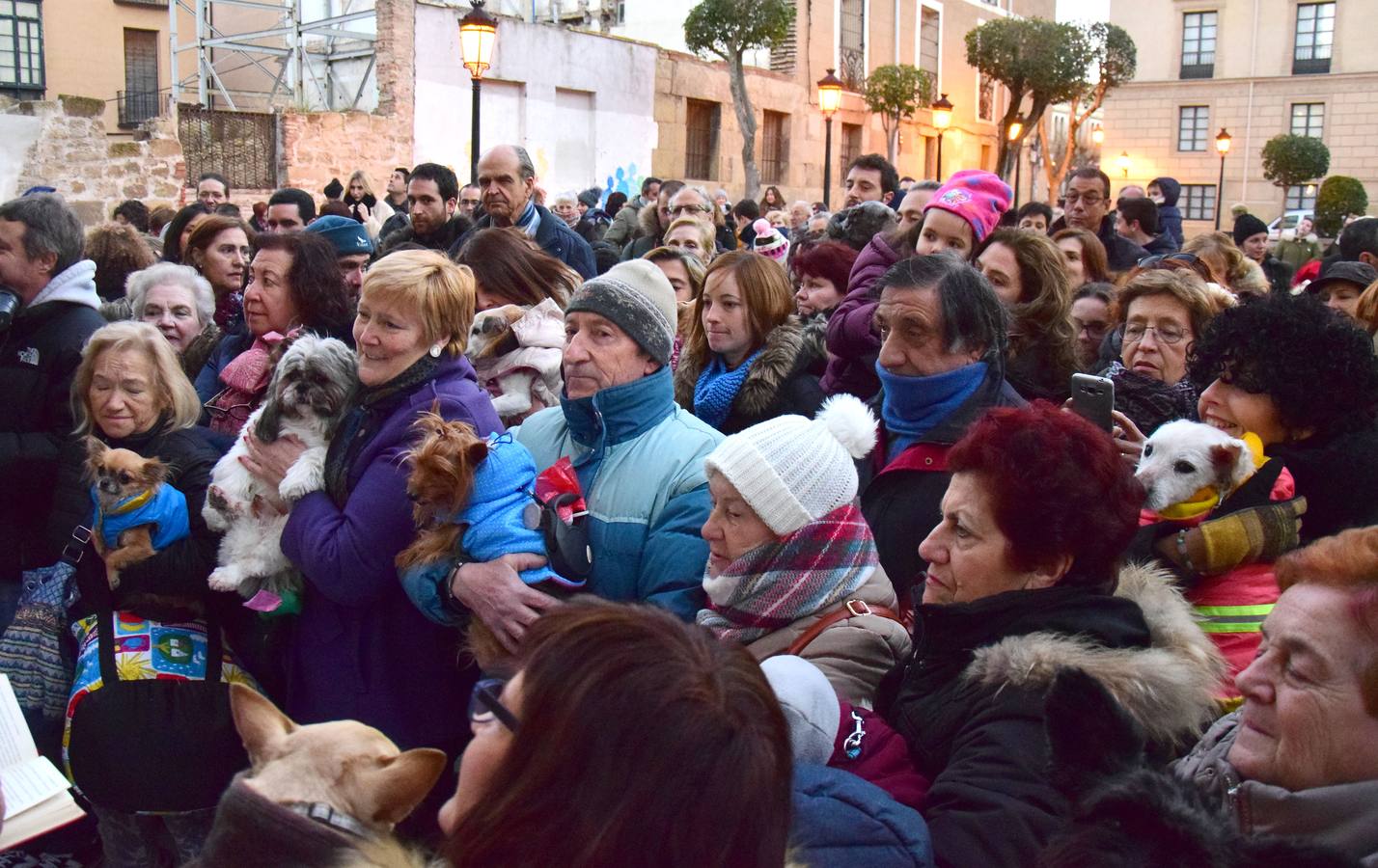 Festividad de San Antón en la Plaza de San Bartolomé de Logroño