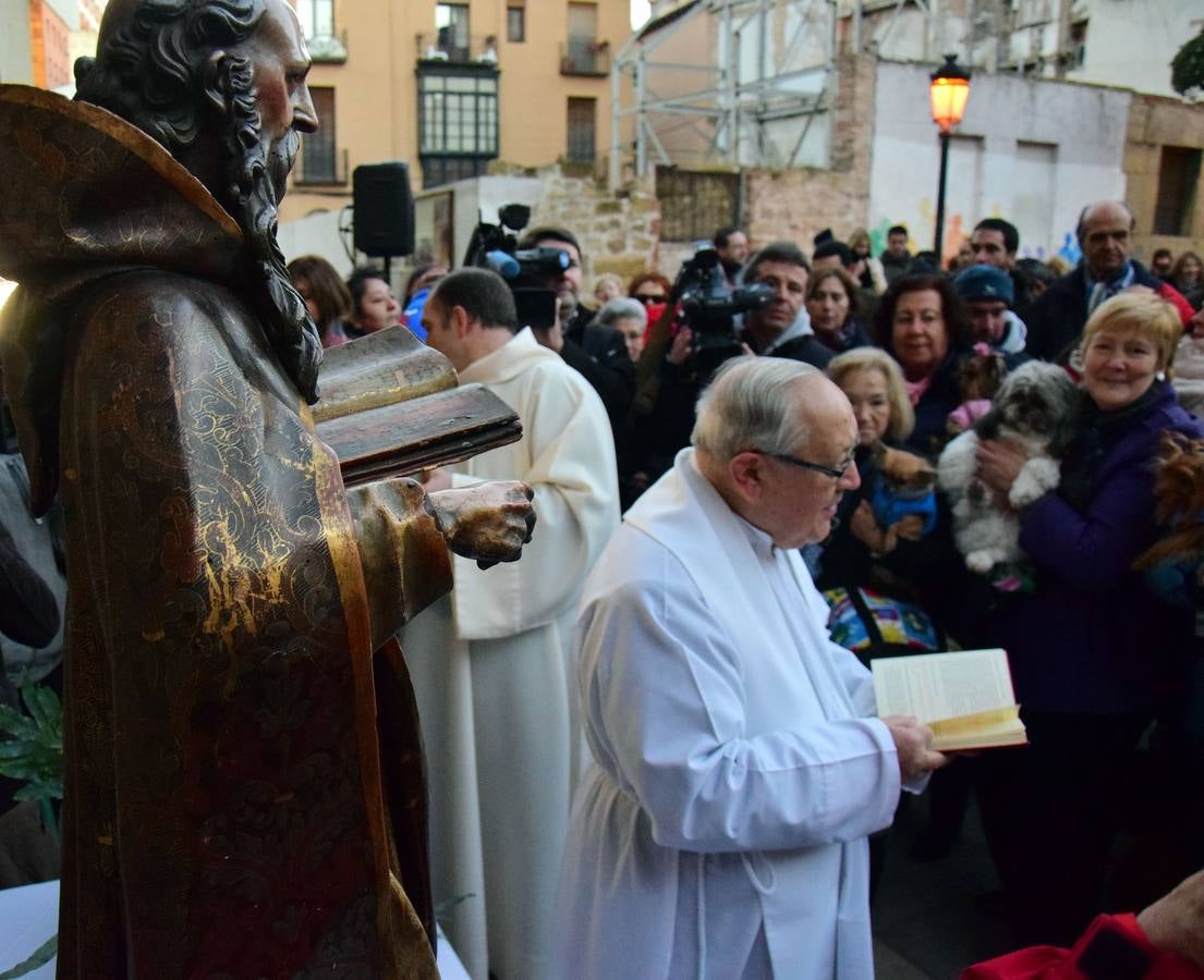 Festividad de San Antón en la Plaza de San Bartolomé de Logroño