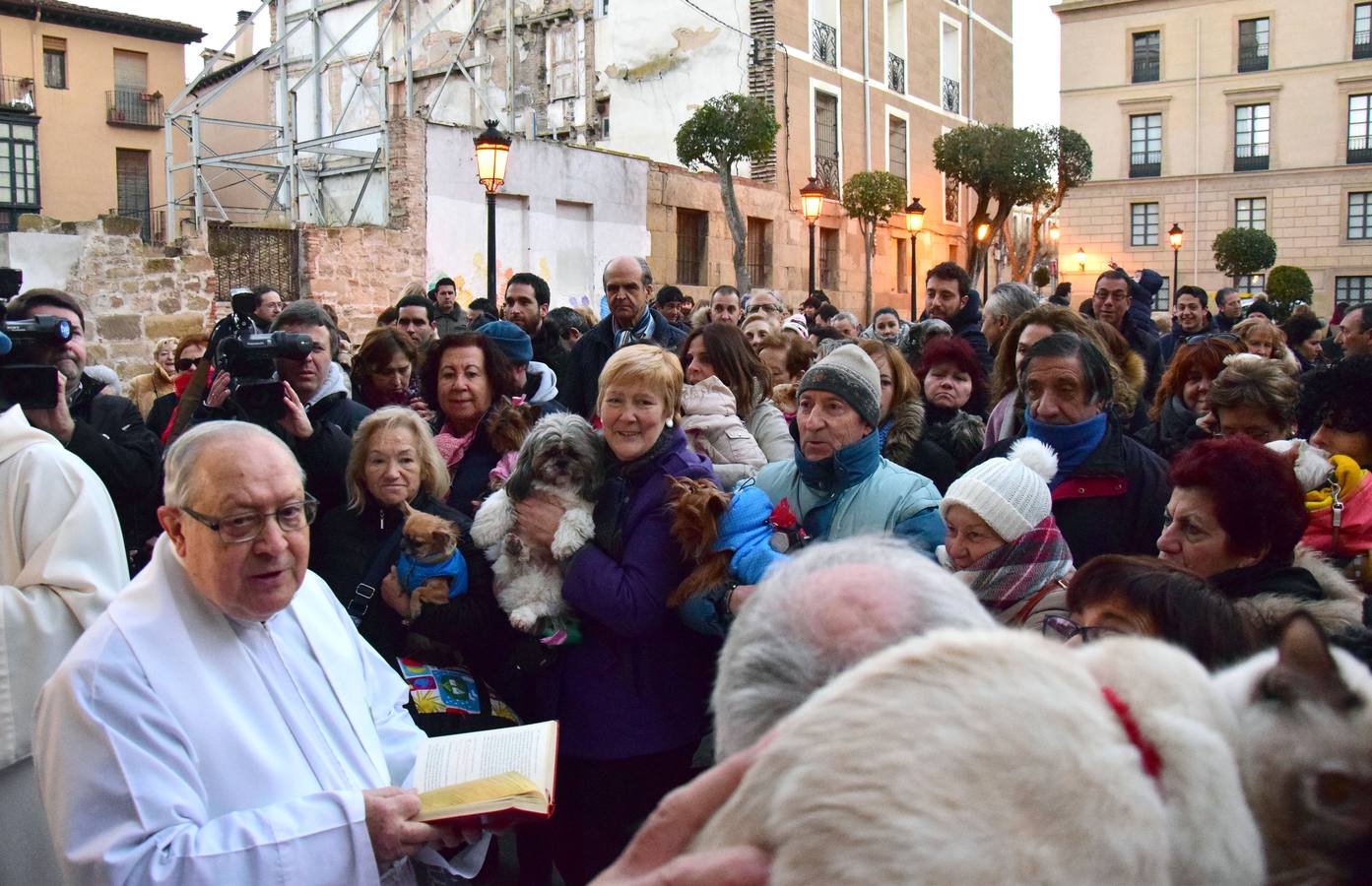 Festividad de San Antón en la Plaza de San Bartolomé de Logroño