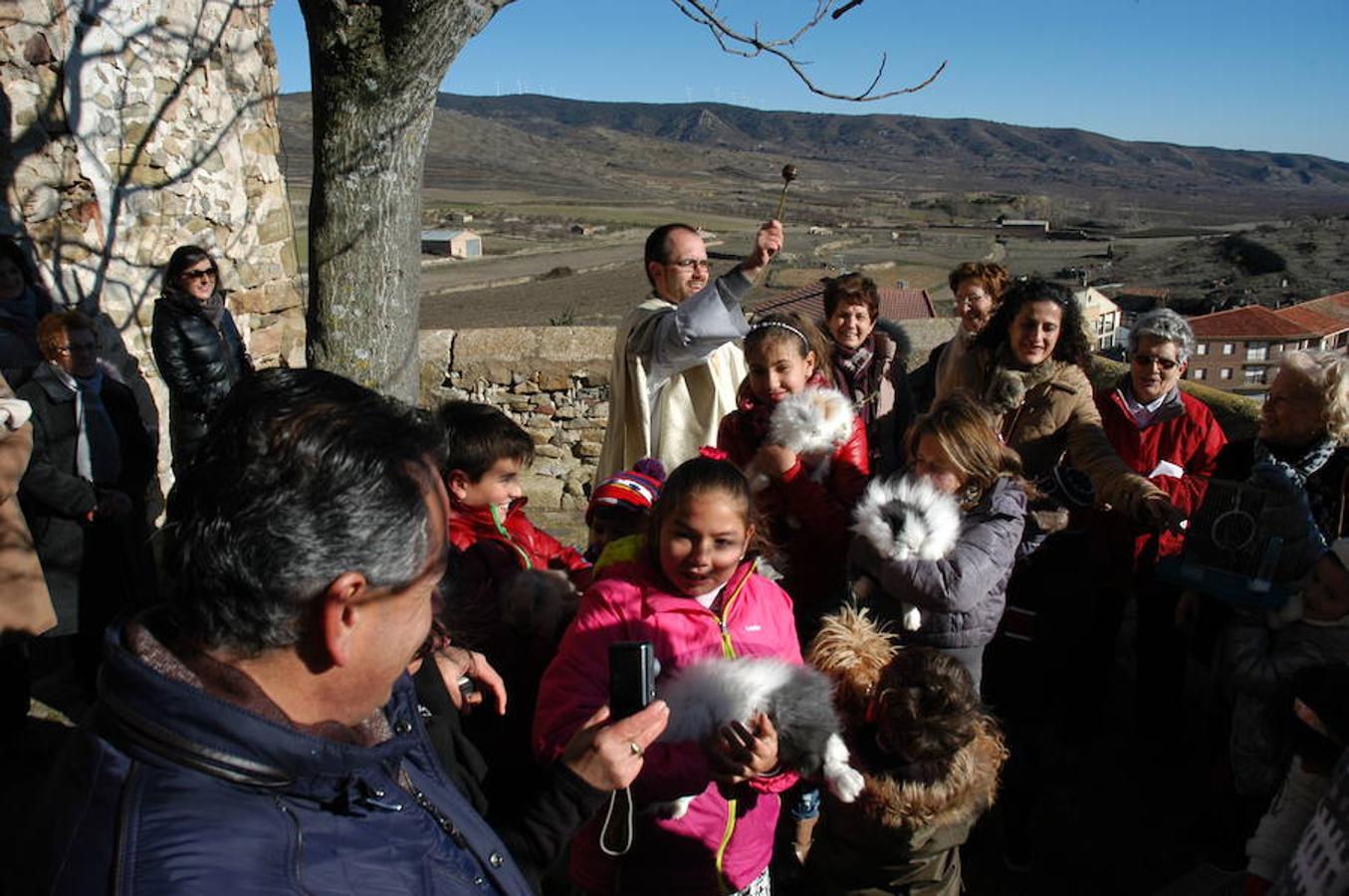 Grávalos festeja San Antón
