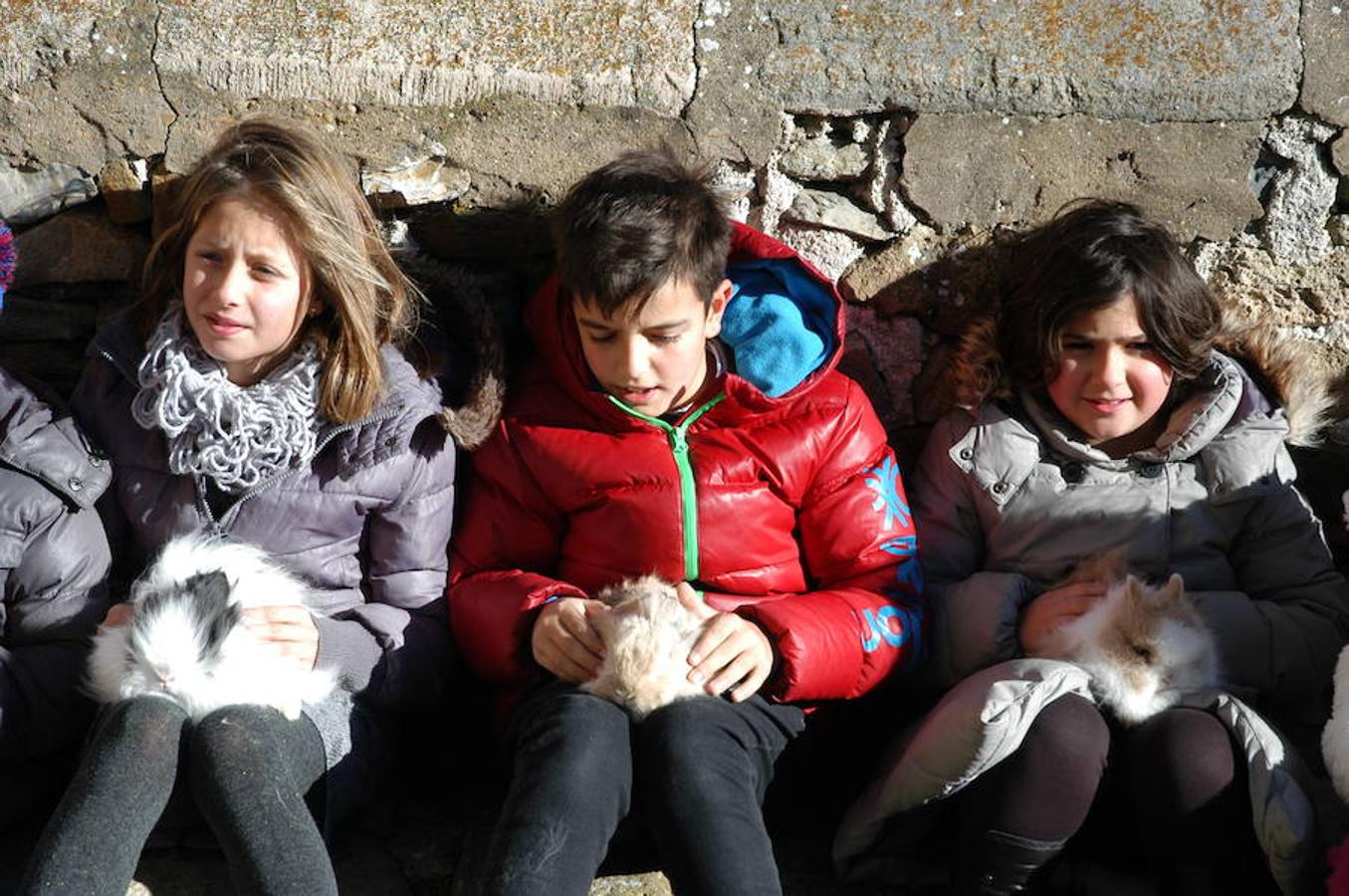 Grávalos festeja San Antón