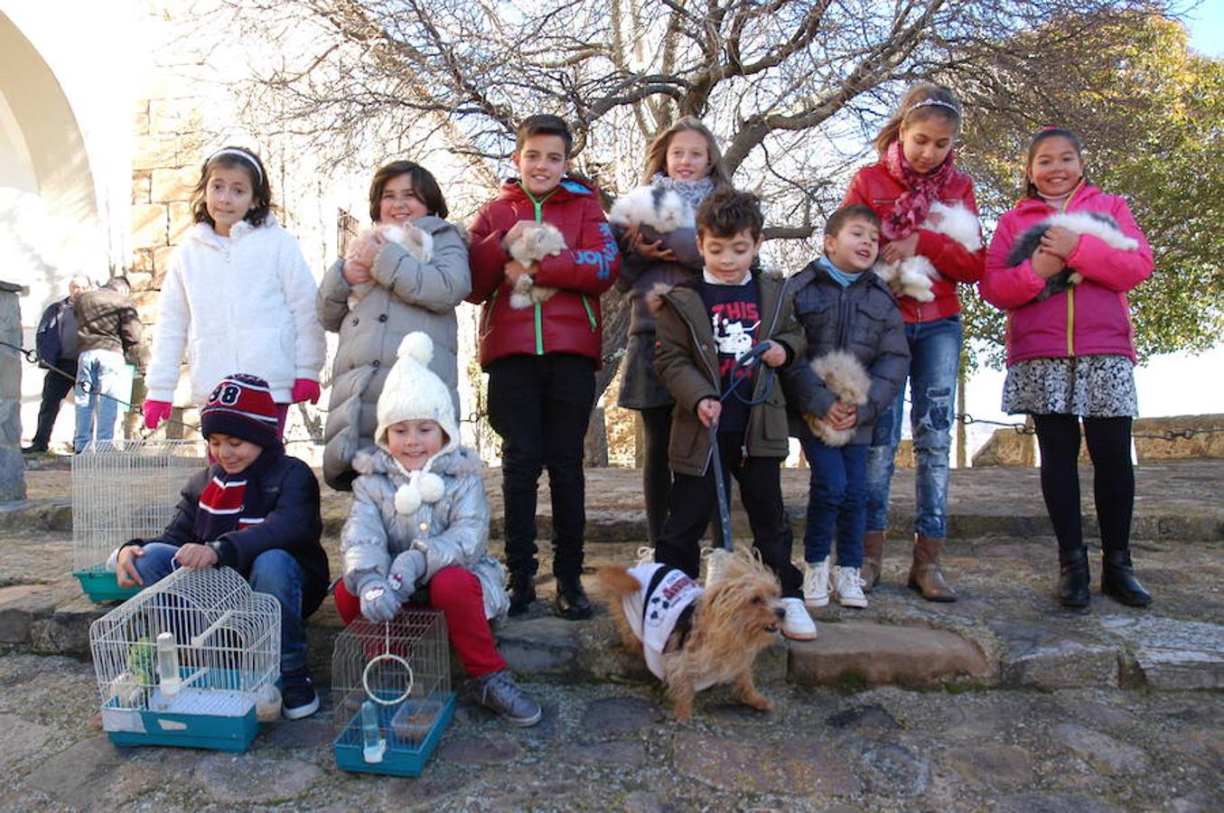 Grávalos festeja San Antón