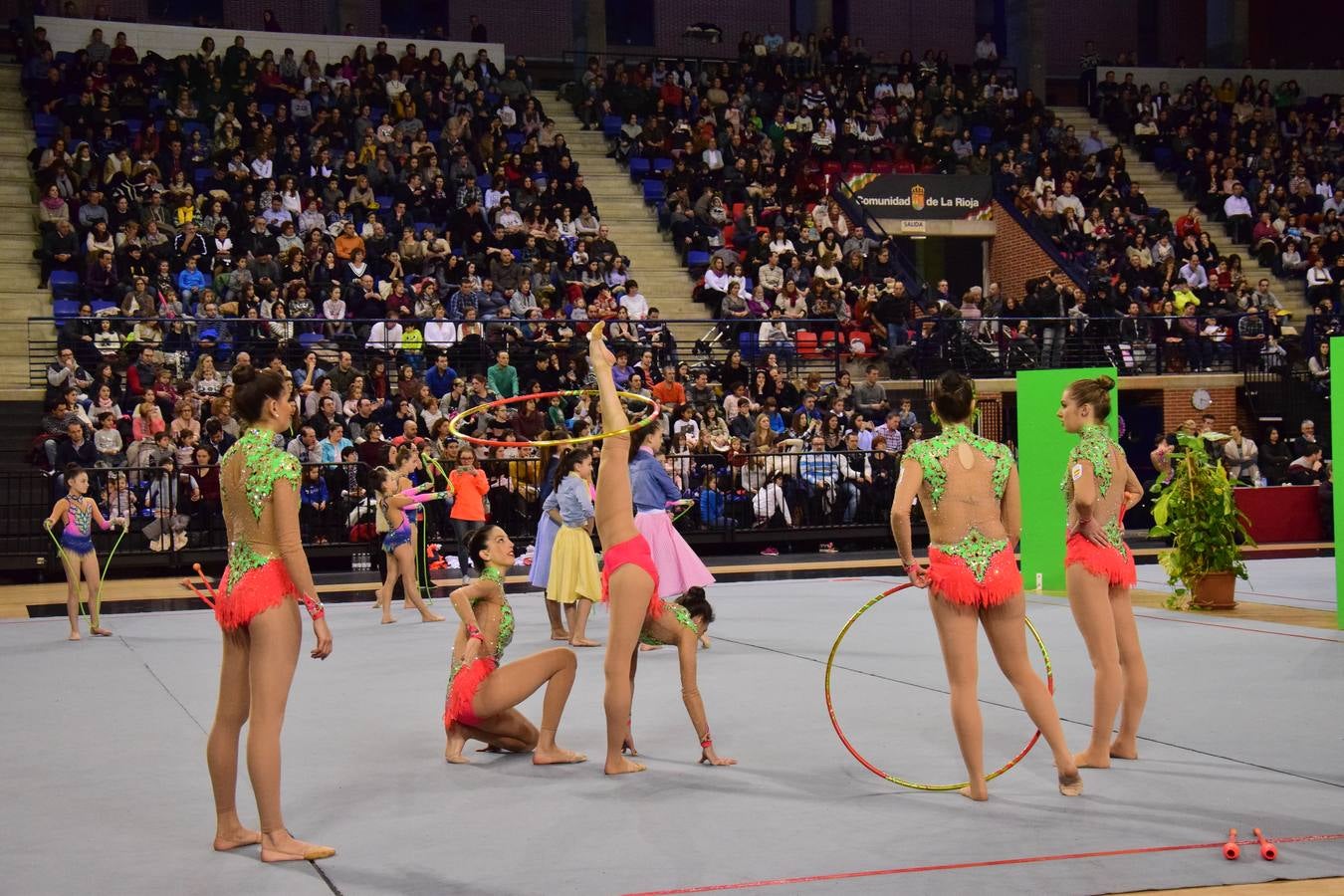 La selección de gimnasia rítimica, en Logroño