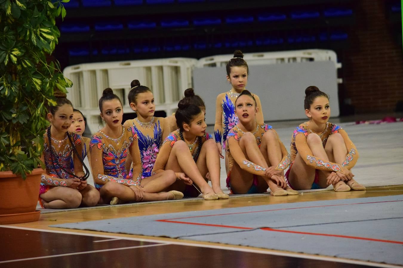 La selección de gimnasia rítimica, en Logroño