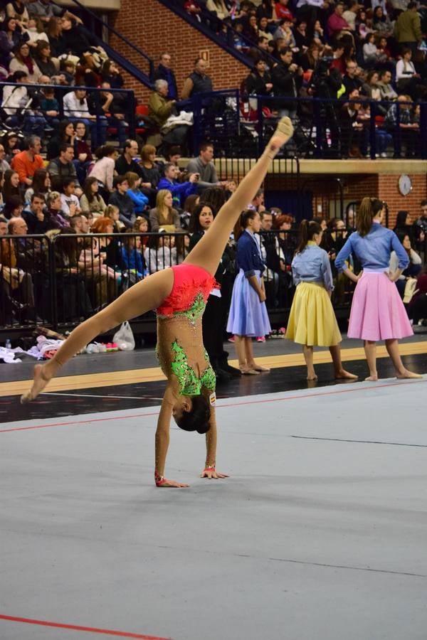 La selección de gimnasia rítimica, en Logroño