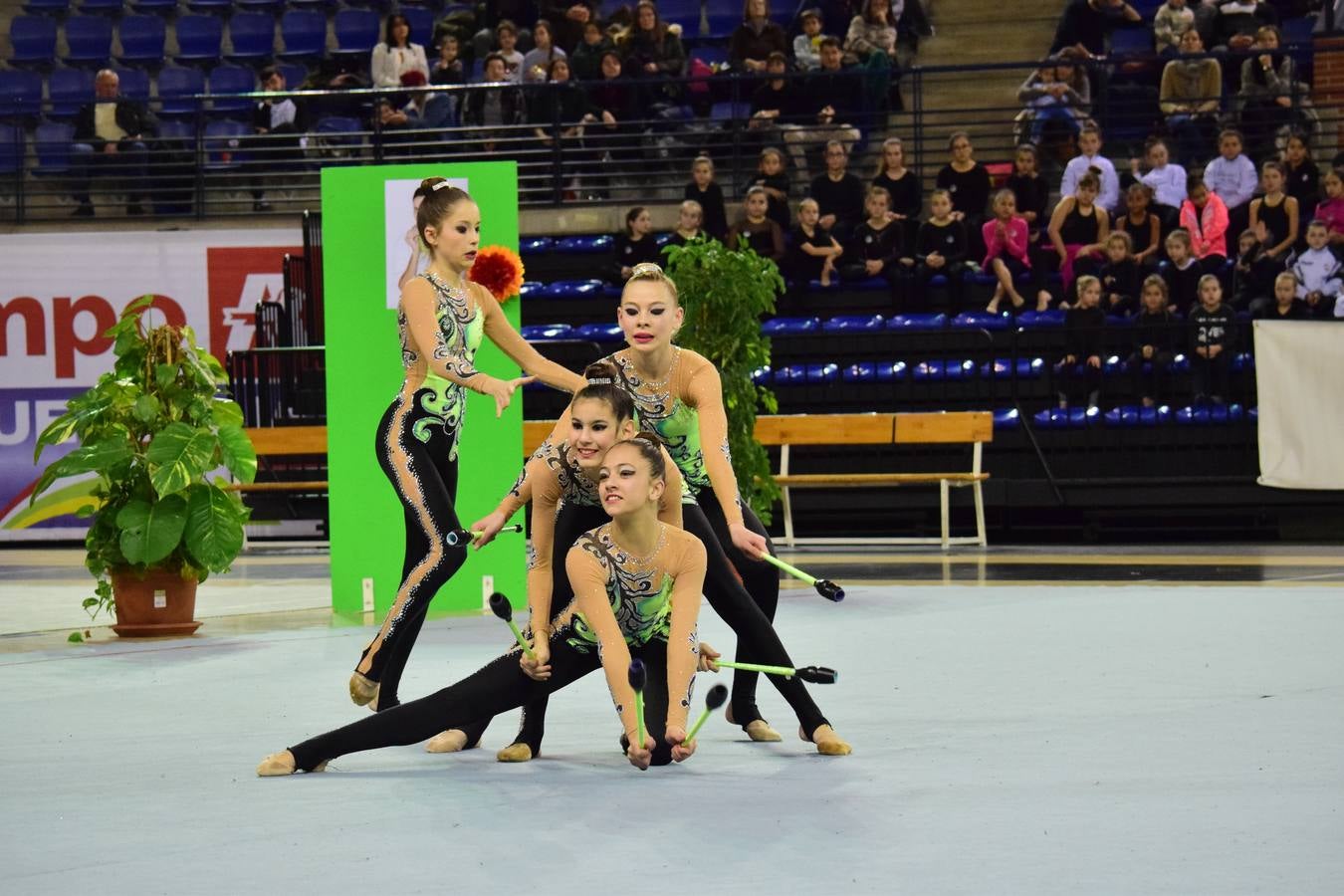 La selección de gimnasia rítimica, en Logroño