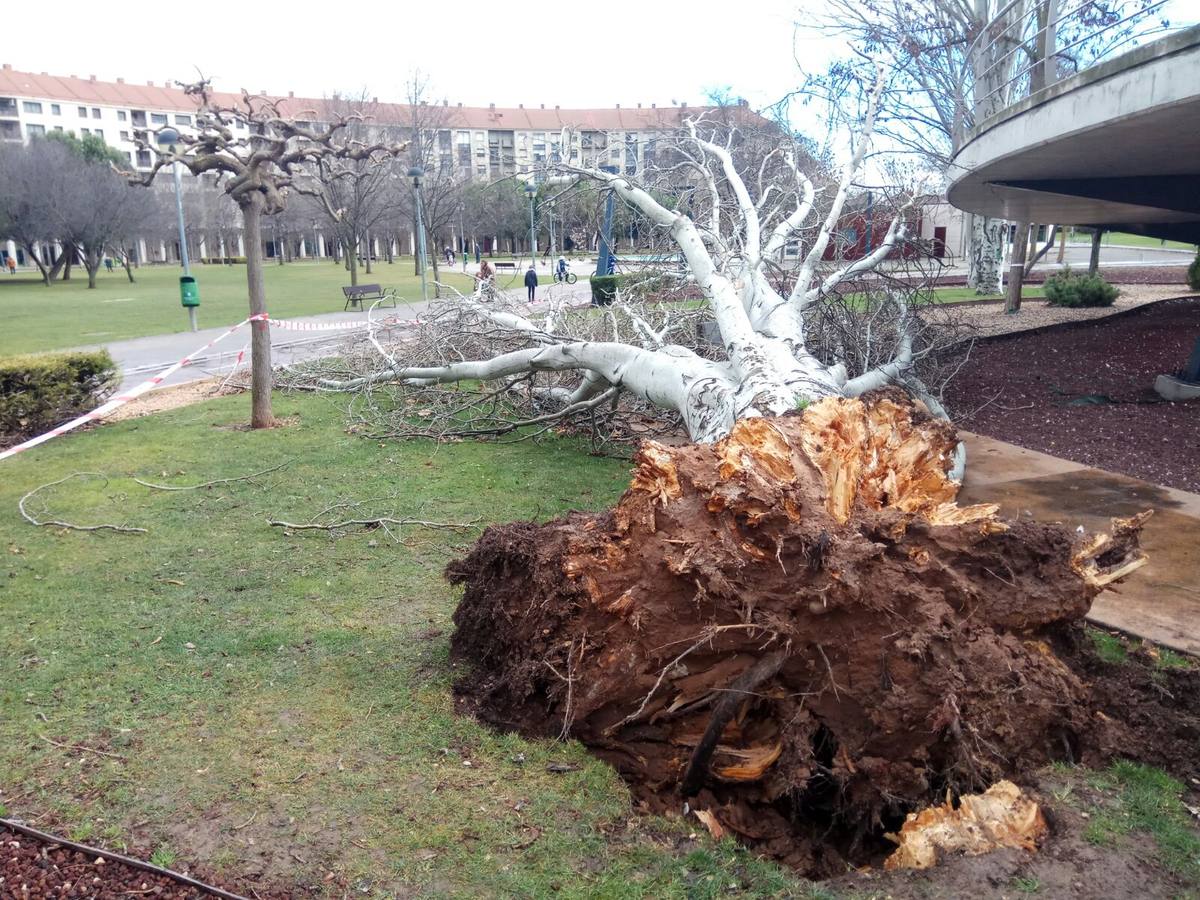 Logroño. 