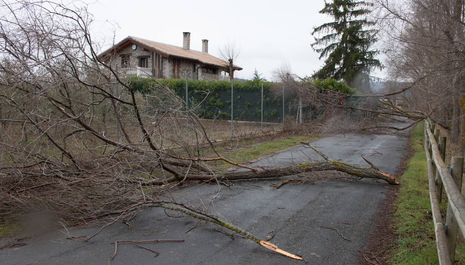 Las consecuencias del viento