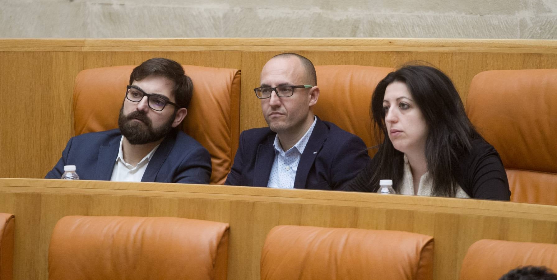 Los gestos en la sesión del Pleno del Parlamento riojano