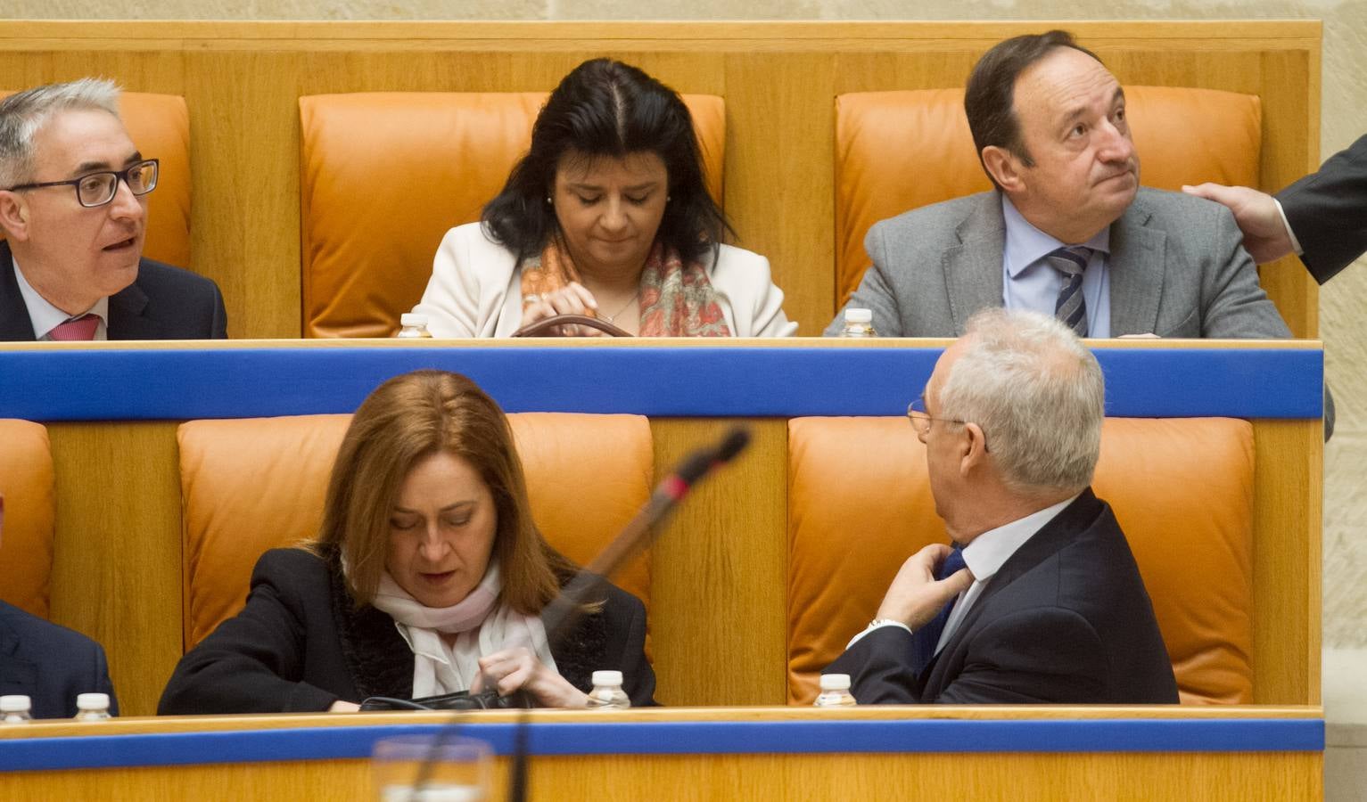 Los gestos en la sesión del Pleno del Parlamento riojano