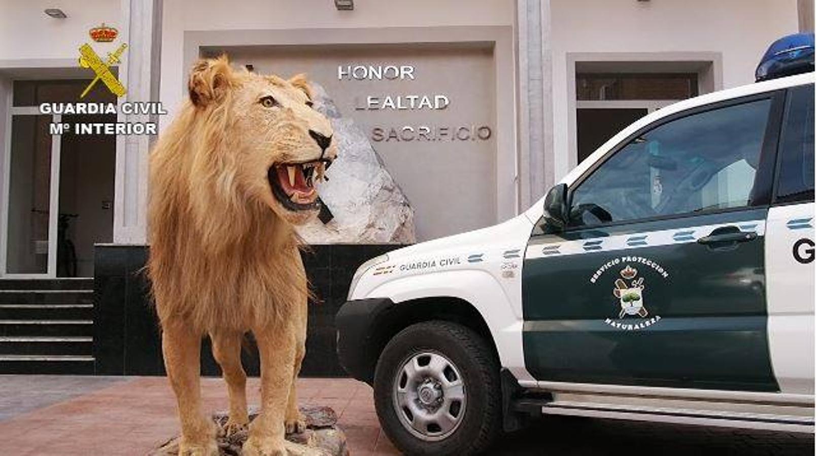 La Guardia Civil investiga a 59 personas por tráfico de especies