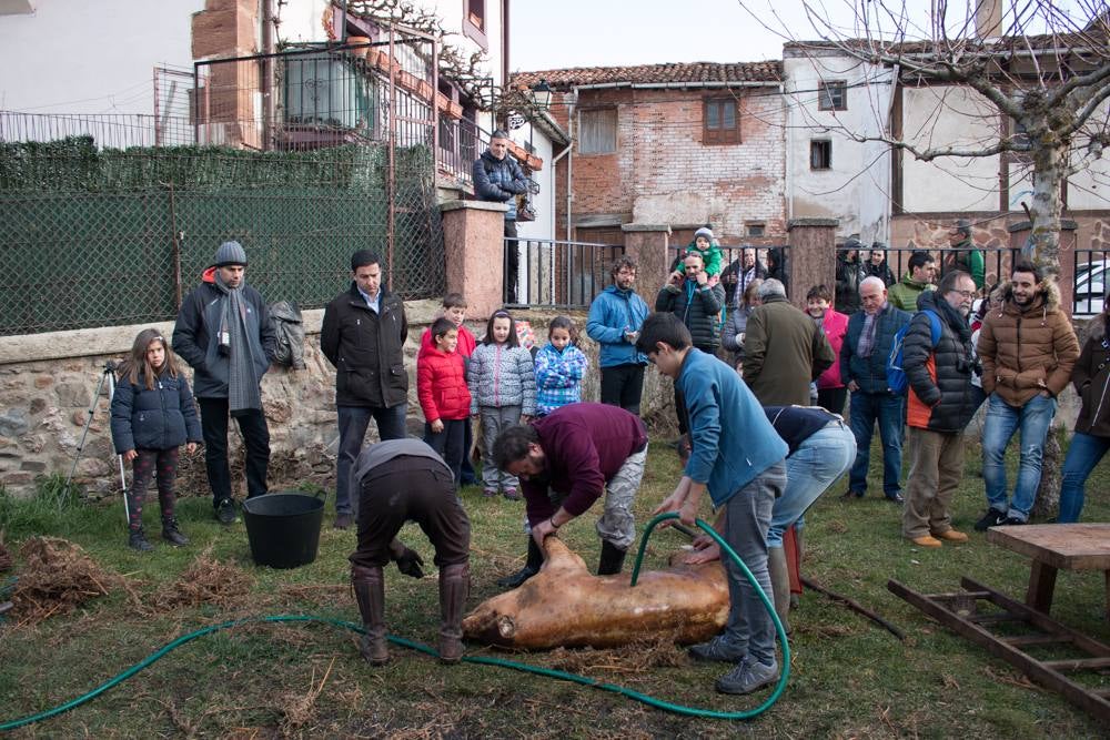 IX Jornadas de la Matanza del Cerdo en Valgañón