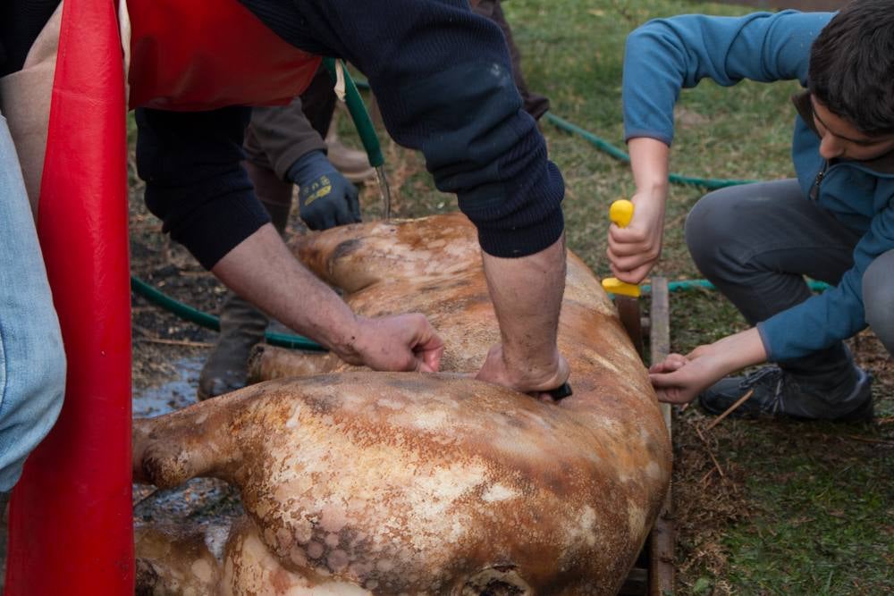 IX Jornadas de la Matanza del Cerdo en Valgañón