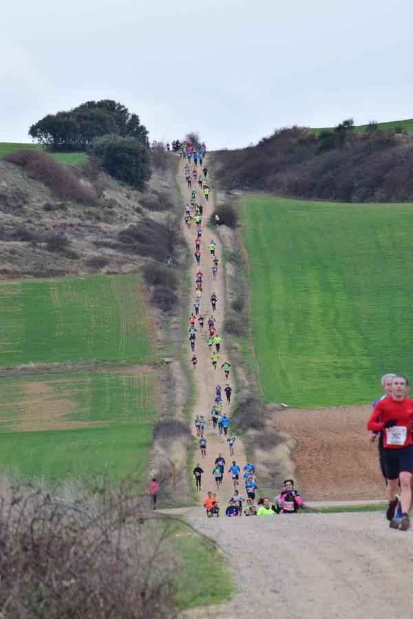 Pablo Mas repite en la Media Maratón del Camino (I)