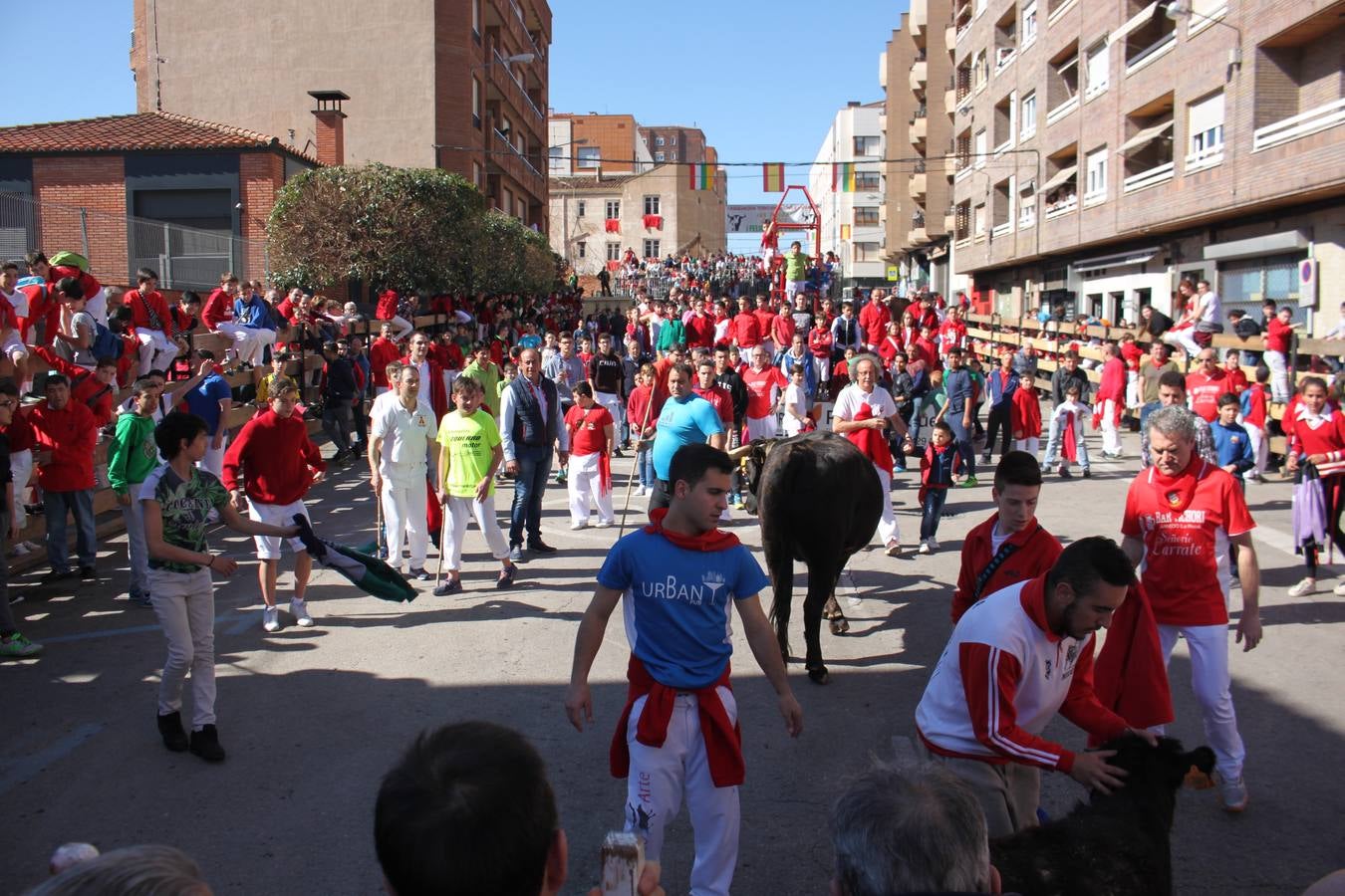 Arnedo disfruta de su segundo día de fiestas