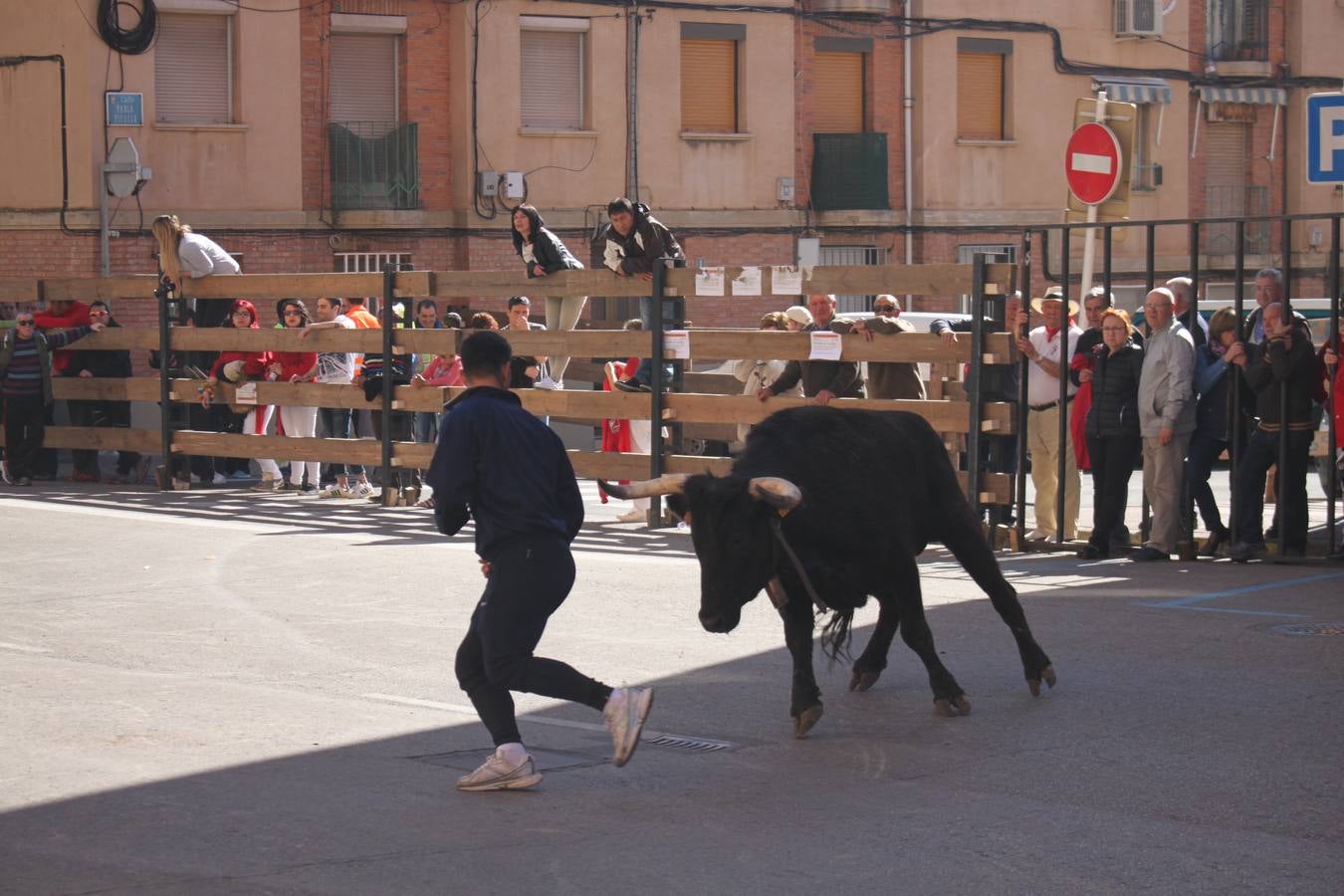 Arnedo disfruta de su segundo día de fiestas