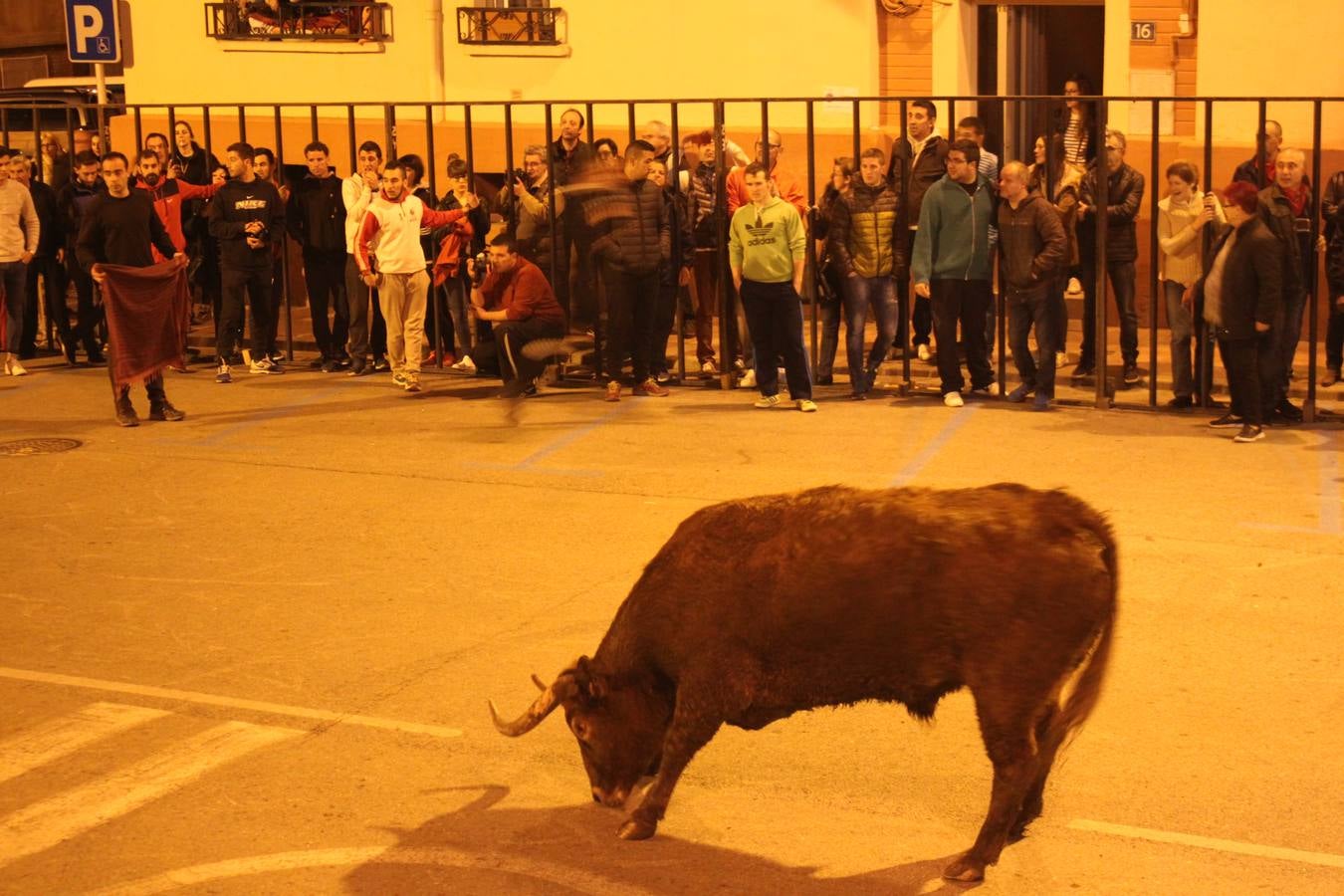 Toro embolao en Arnedo