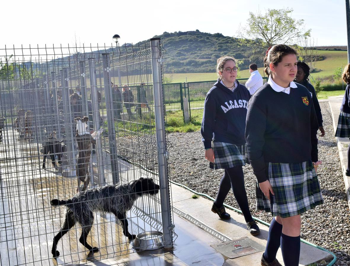 Cincuenta alumnas de Alcaste visitan el Centro de Acogida de Animales Logroño