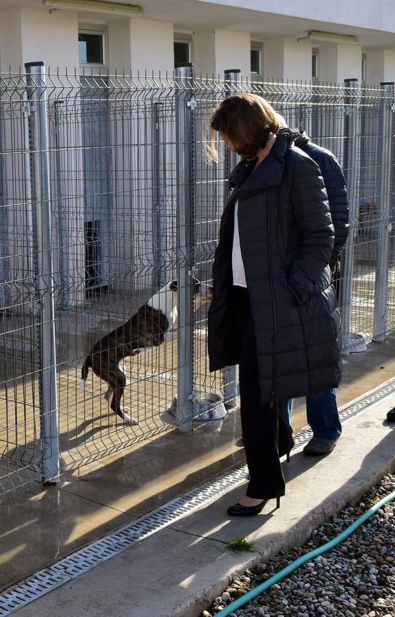 Cincuenta alumnas de Alcaste visitan el Centro de Acogida de Animales Logroño