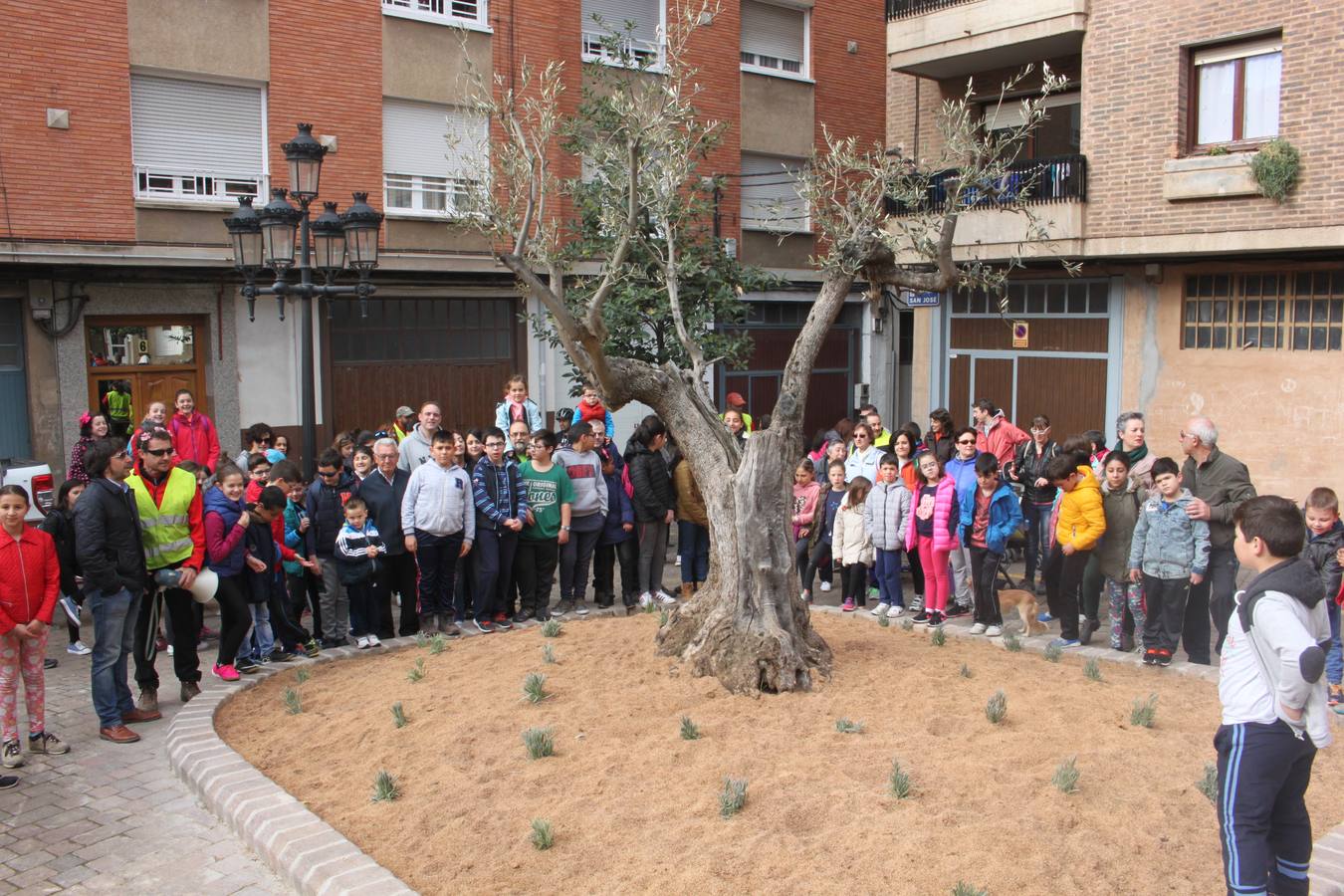 Arnedo celebra la Plantación del Día del Árbol