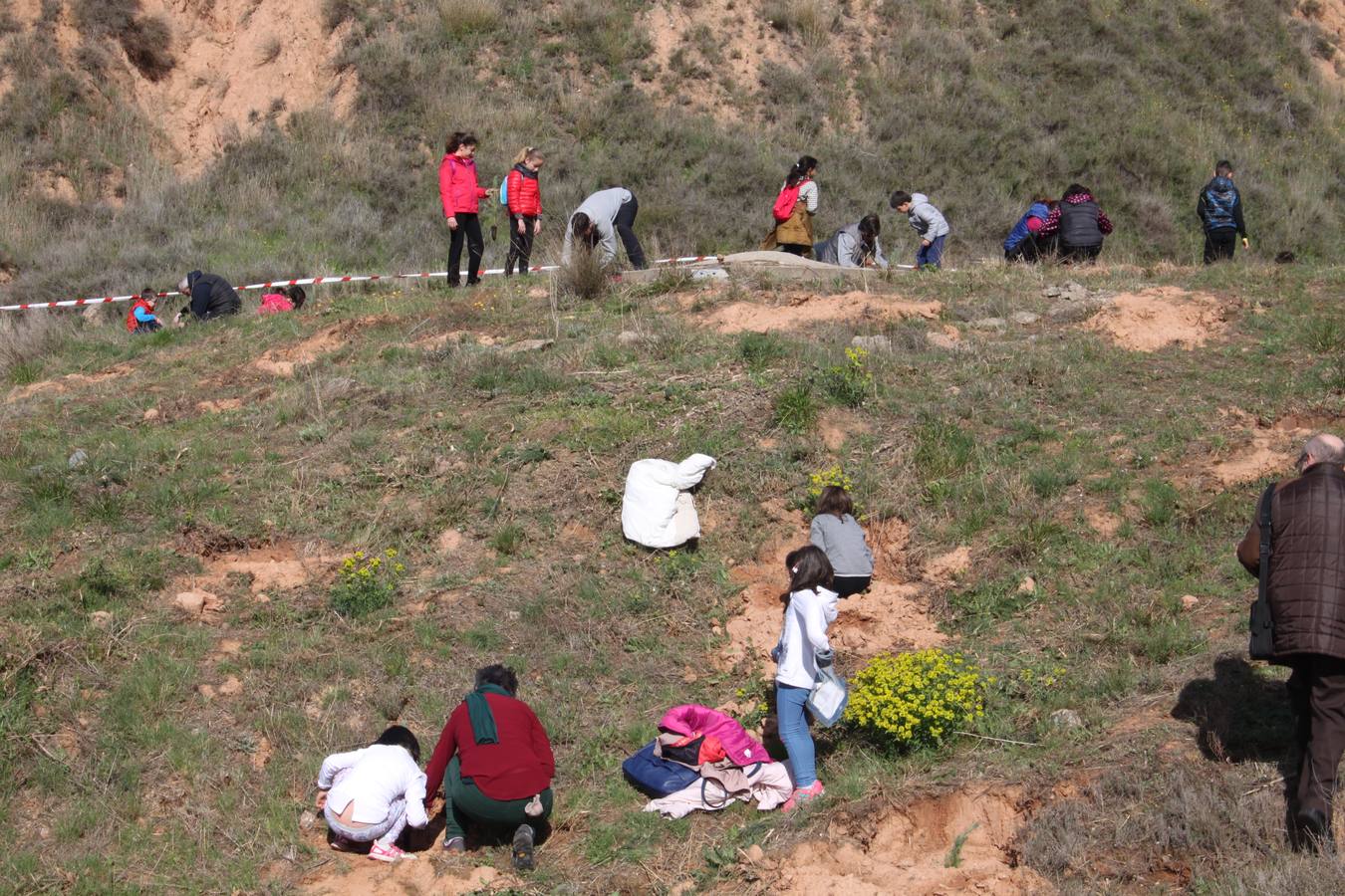 Arnedo celebra la Plantación del Día del Árbol