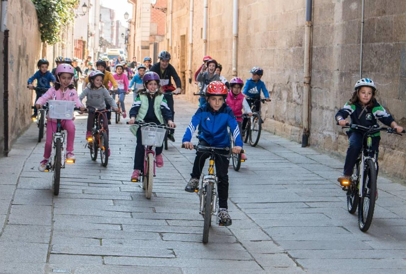 IV Marcha solidaria a beneficio de la AECC