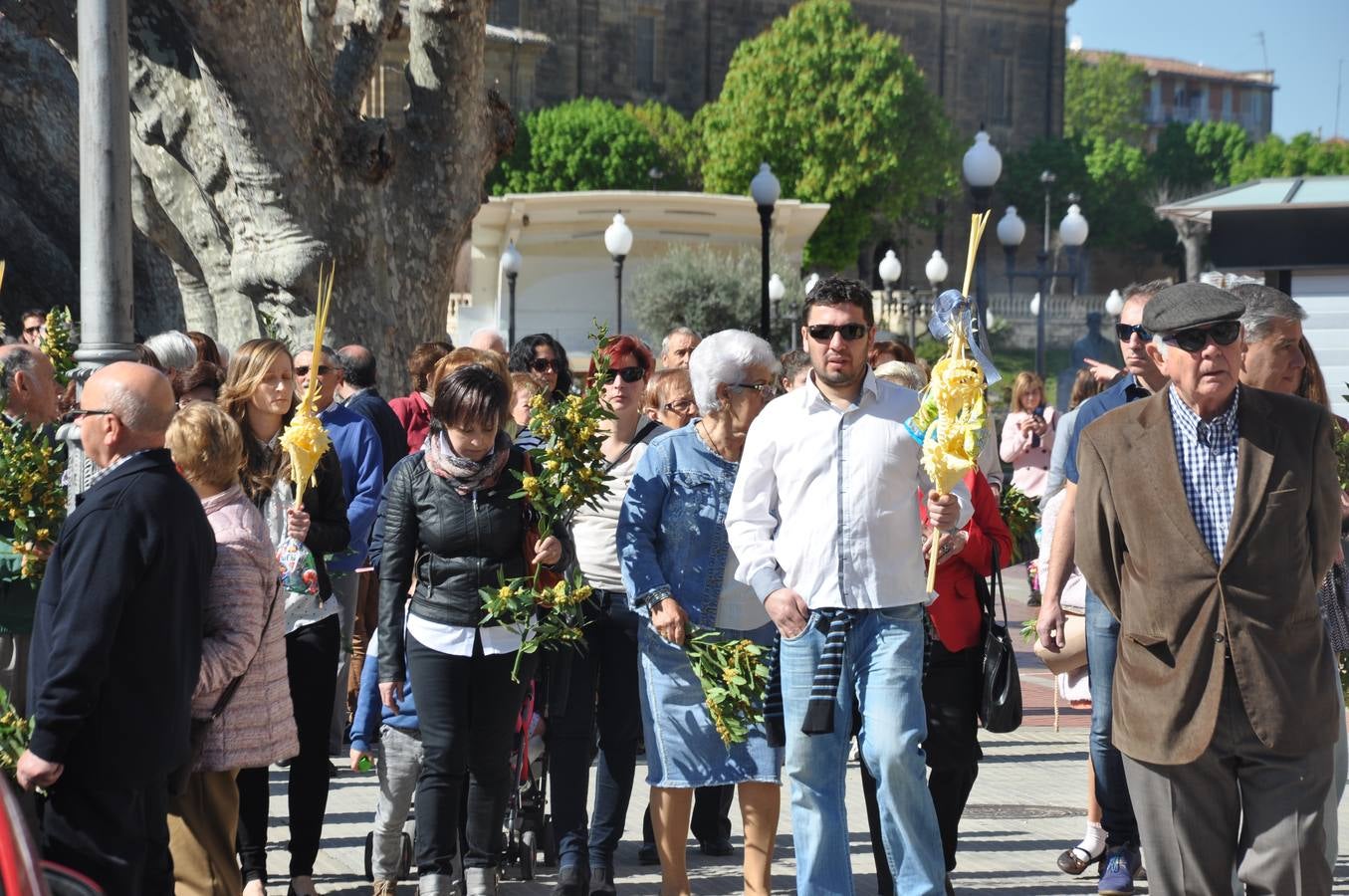 Procesión de la Borriquilla de Haro