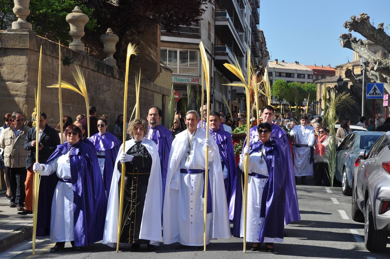 Procesión de la Borriquilla de Haro