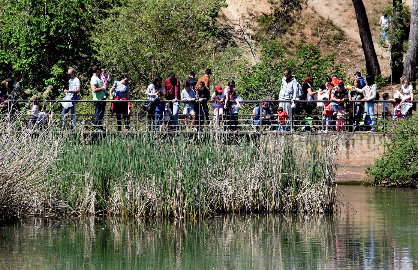 Un domingo en La Grajera