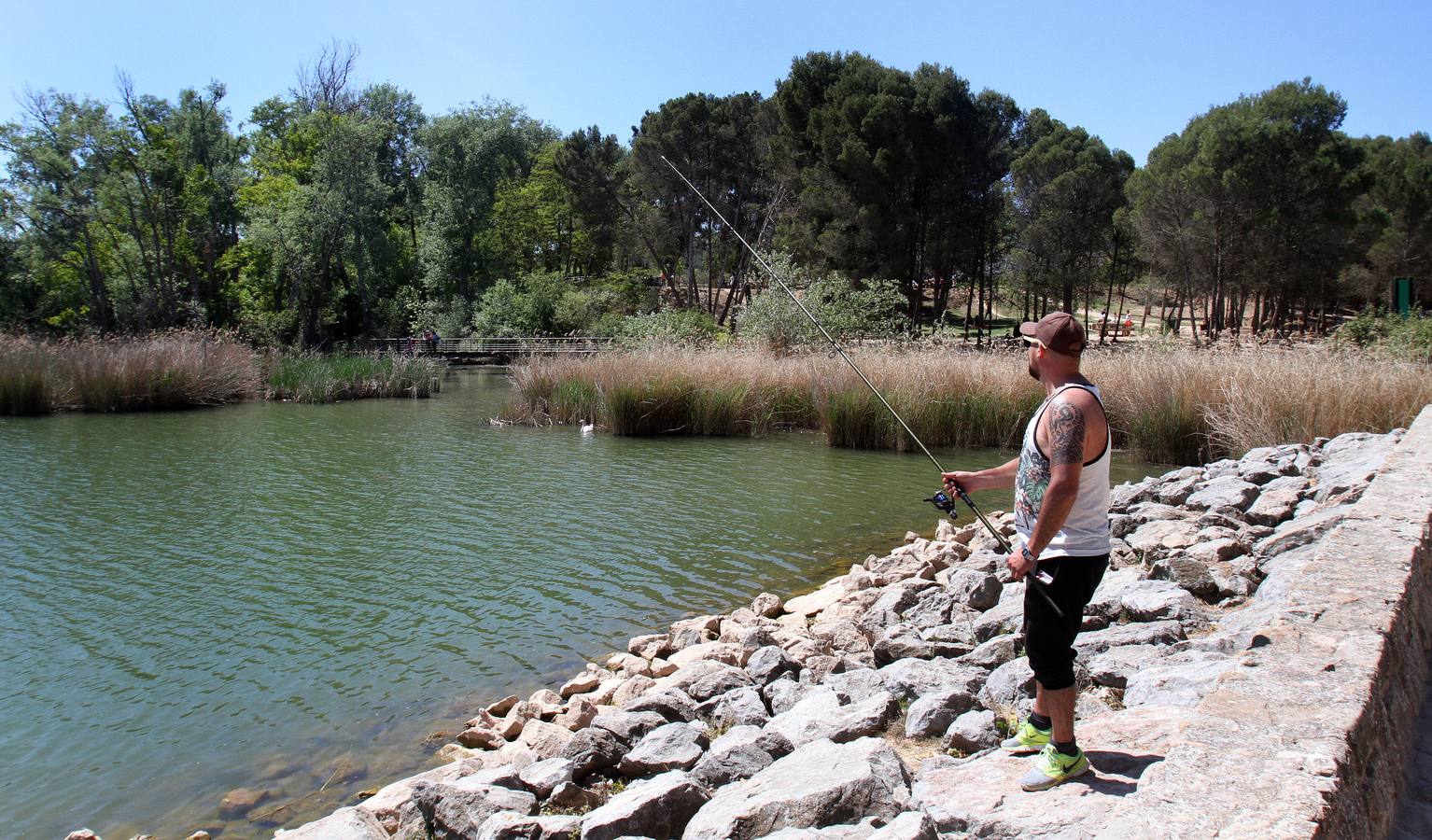 Un domingo en La Grajera