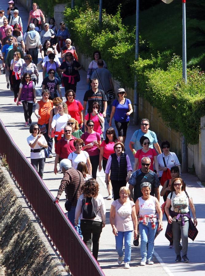 Marcha por los buenos tratos en Logroño