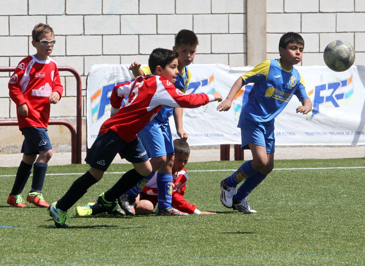 Jornada del domingo del Torneo Valle del Ebro