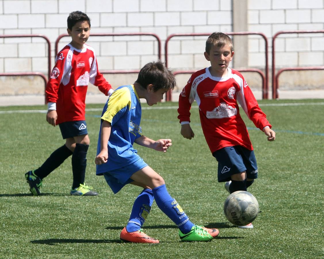 Jornada del domingo del Torneo Valle del Ebro